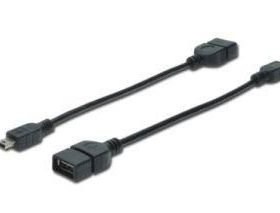 ASSMANN Cable OTG USB-miniUSB 0,2m AK-300310-002-S - 4016032324034-0