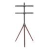 TV Stand Focus Mount Fixed TT164