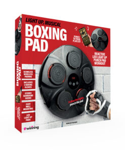 The Source - Light Up Musical Boxing Pad