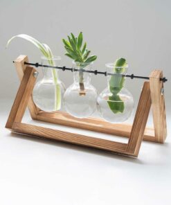 The Source – Home & Lifestyle – Propergator Vases – Ξυλινη βάση με βάζα για υδροπονική καλλιέργεια