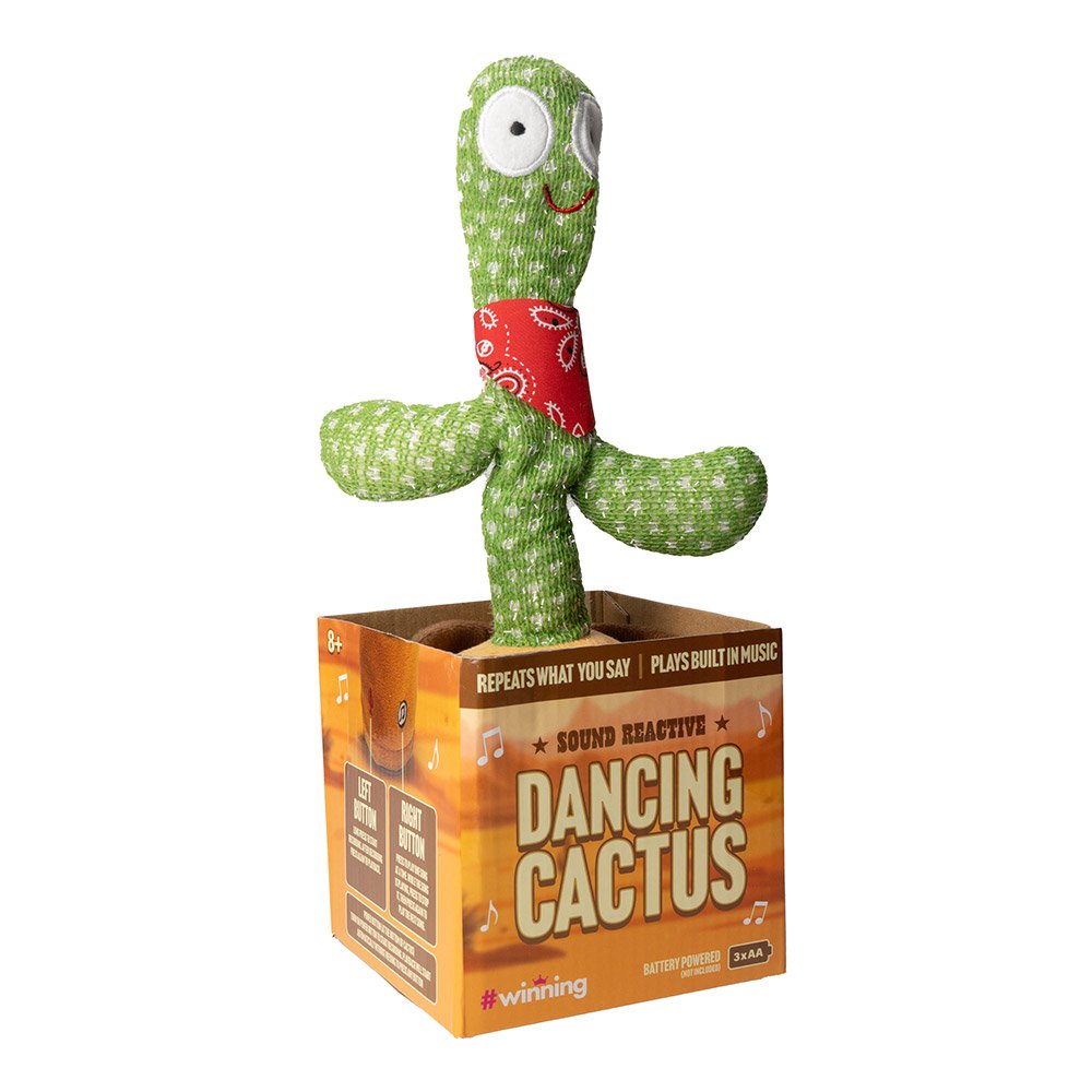 The Source – Dancing Cactus – Διαδραστικός Κάκτος που Χορεύει