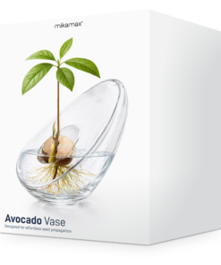 mikamax - Avocado Vase: Όταν το Design Συναντά τη Φύση
